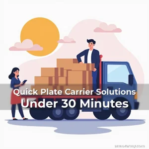 Read more about the article Quick Plate Carrier Solutions Under 30 Minutes